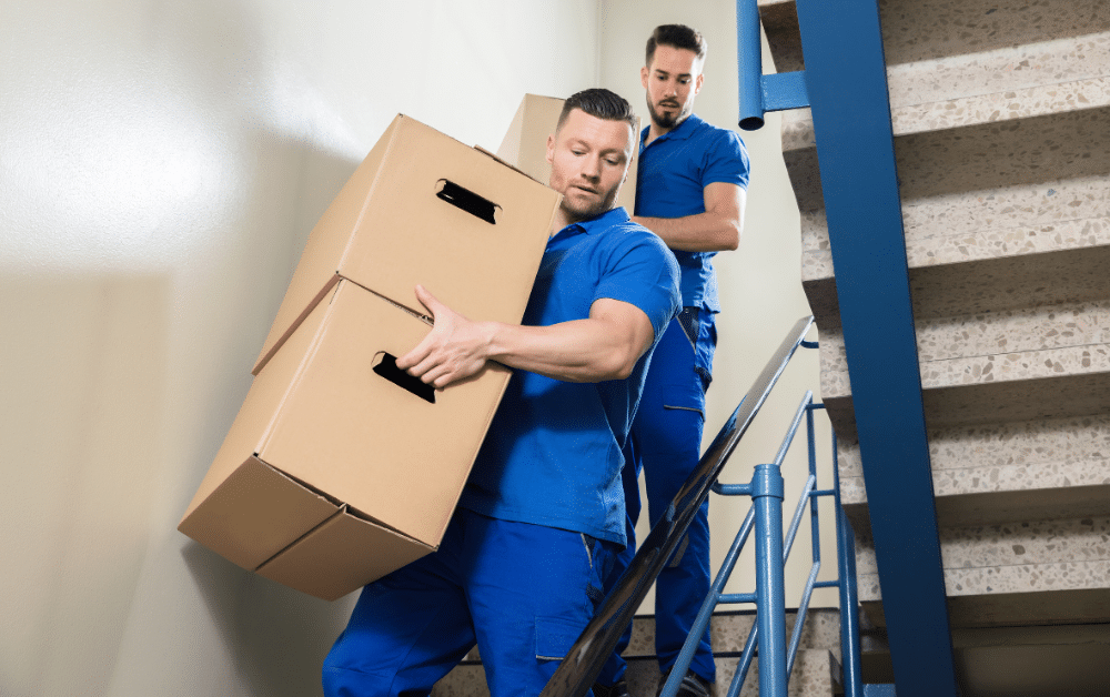 Furniture Movers