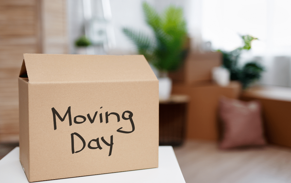 Moving Day Tips